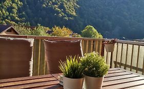 Miro Apartament
